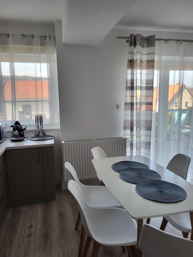 Apartament Z Widokiem-Blizej Zdroju Bad Altheide Exterior foto
