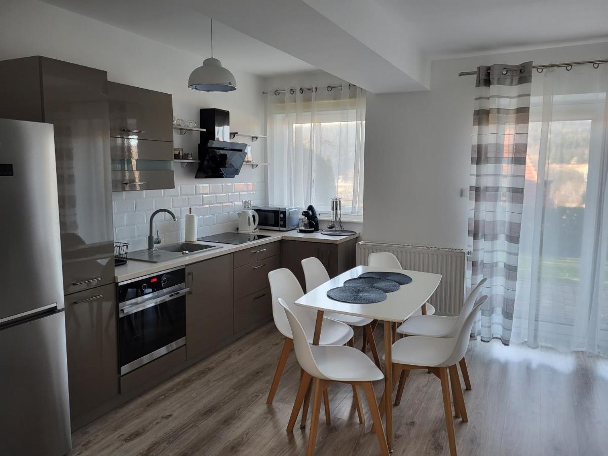 Apartament Z Widokiem-Blizej Zdroju Bad Altheide Exterior foto