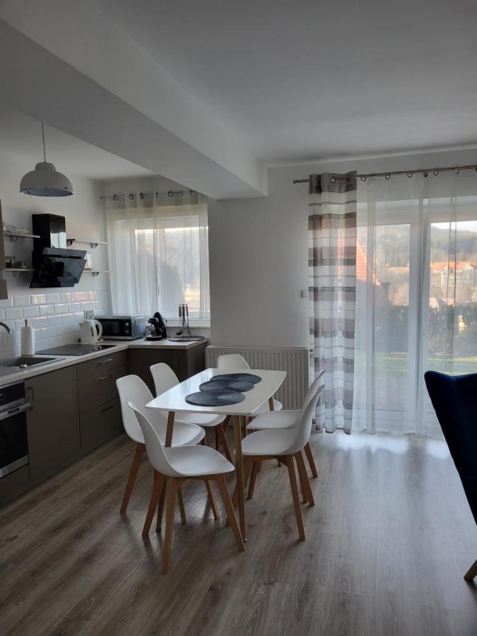 Apartament Z Widokiem-Blizej Zdroju Bad Altheide Exterior foto