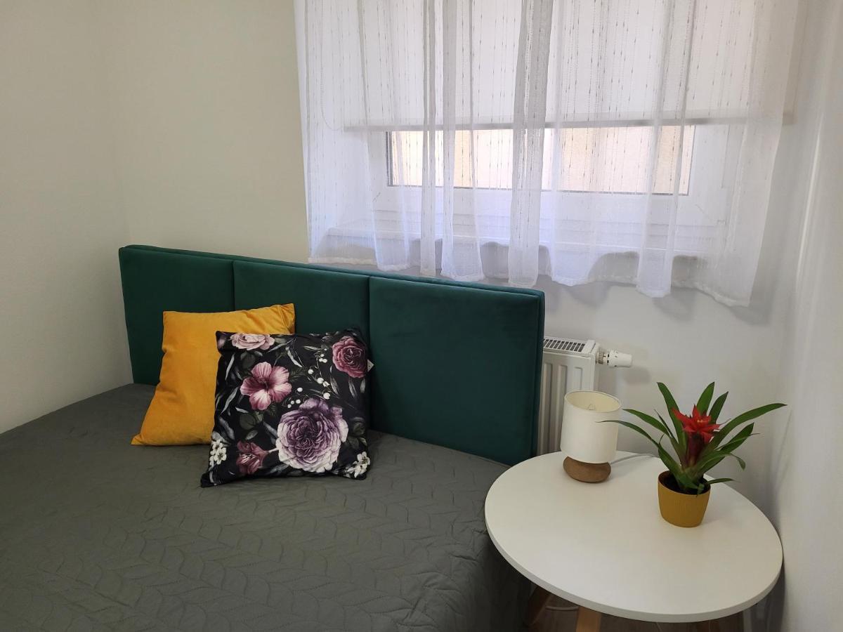 Apartament Z Widokiem-Blizej Zdroju Bad Altheide Exterior foto