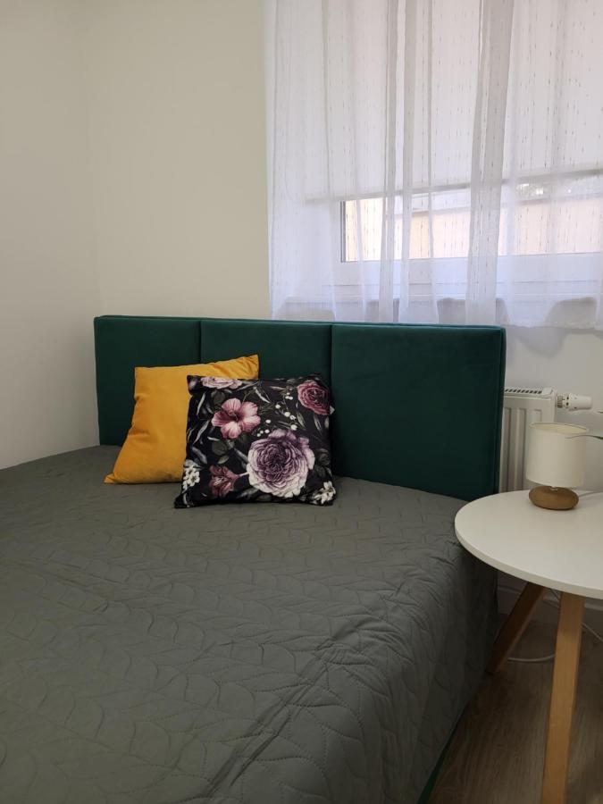 Apartament Z Widokiem-Blizej Zdroju Bad Altheide Exterior foto