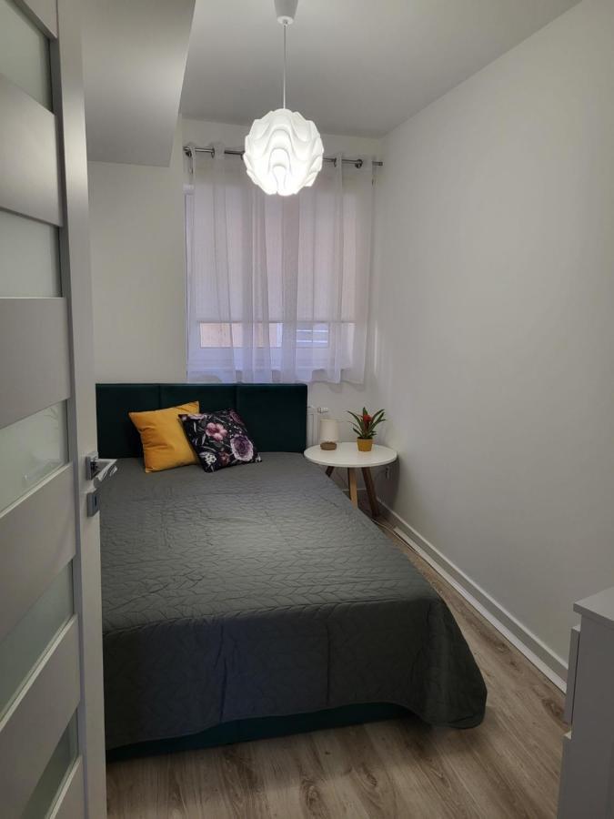 Apartament Z Widokiem-Blizej Zdroju Bad Altheide Exterior foto