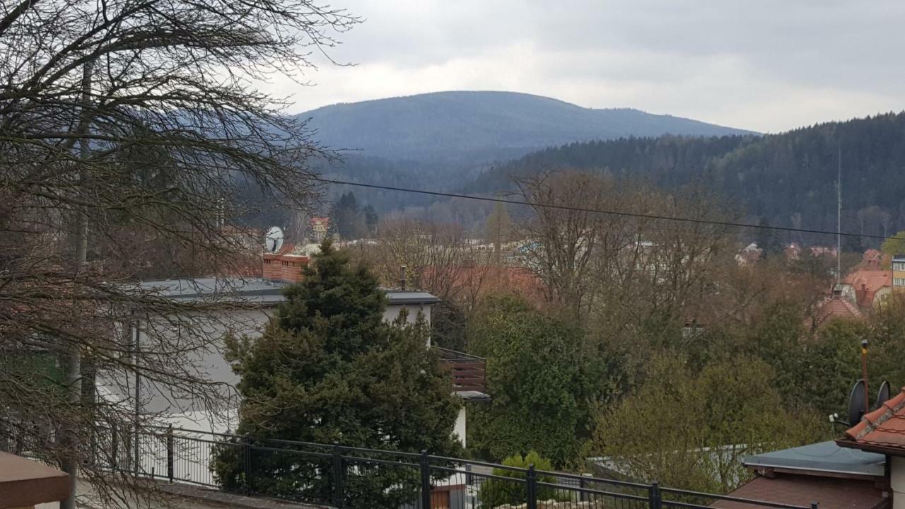 Apartament Z Widokiem-Blizej Zdroju Bad Altheide Exterior foto