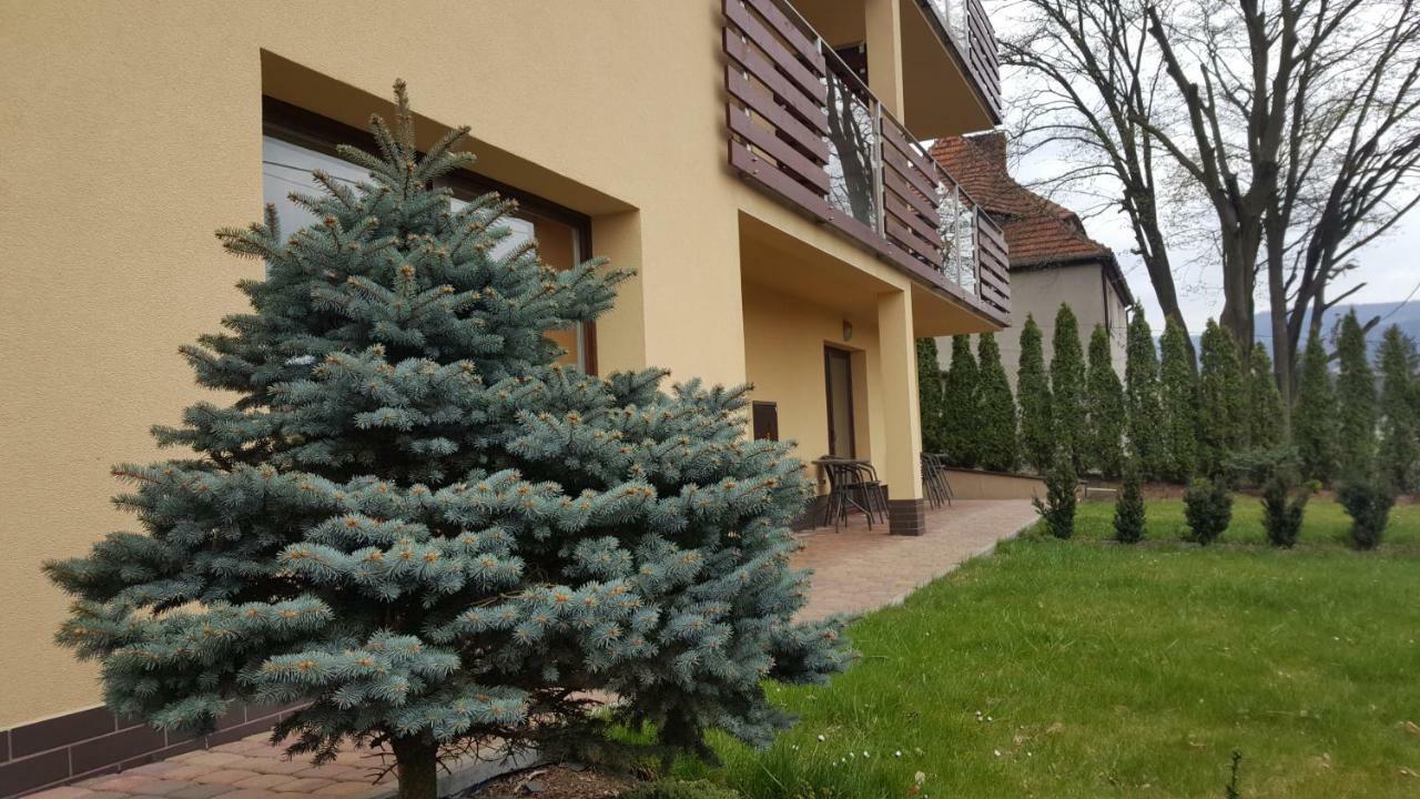 Apartament Z Widokiem-Blizej Zdroju Bad Altheide Exterior foto