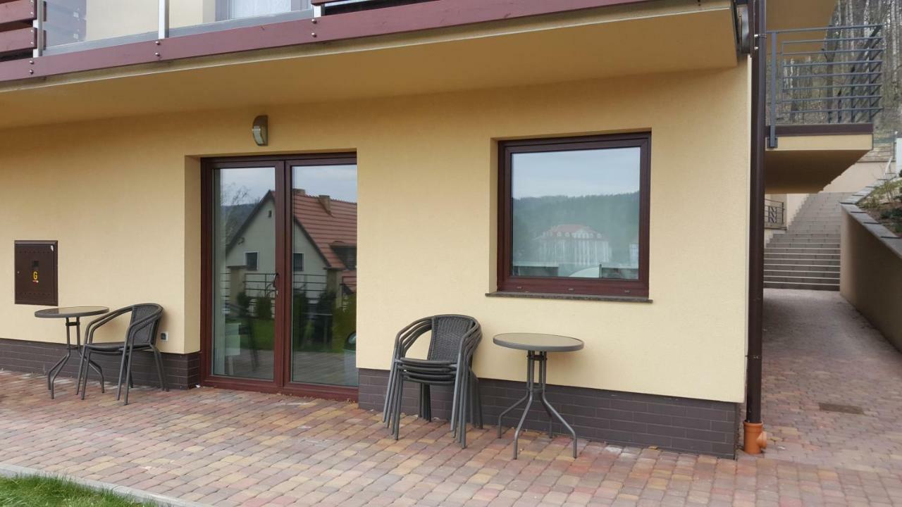 Apartament Z Widokiem-Blizej Zdroju Bad Altheide Exterior foto